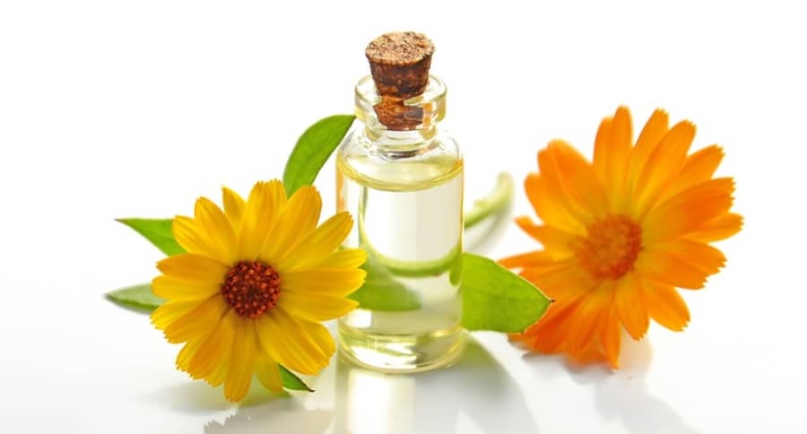 natural cosmetics