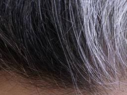 Grey hair